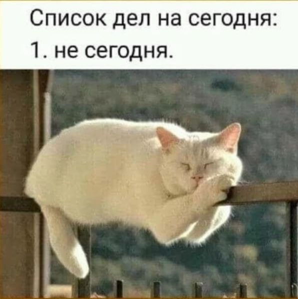 Котарный Василий