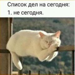 Котарный Василий